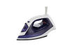 steam iron